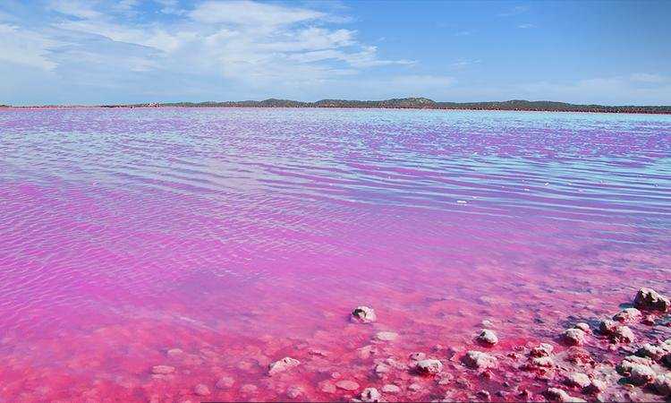 Розовое озеро в крыму: описание, где находится и как добраться. розовые озера мира: расположение, краткое описание и фото есть ли розовое озеро