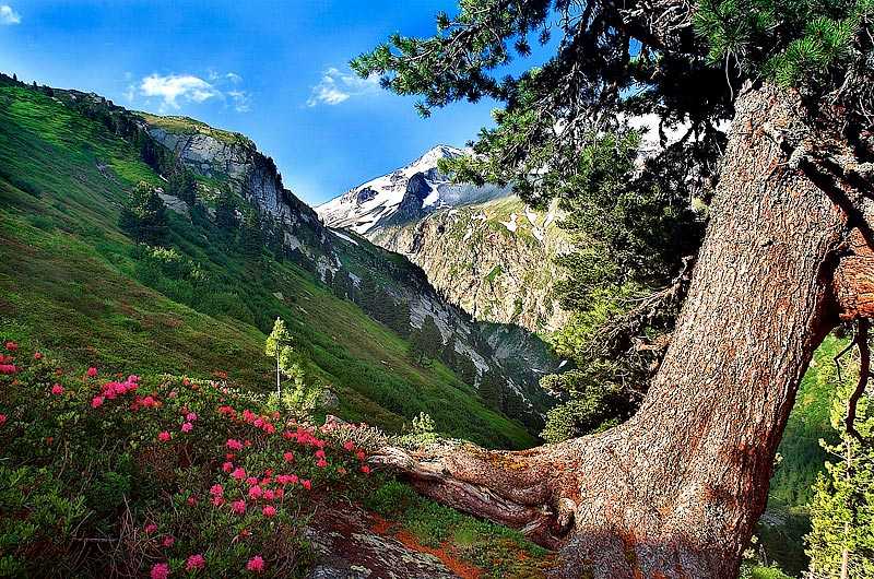 Что поделать в австрии - национальные парки, природа и заповедники для активного отдыха