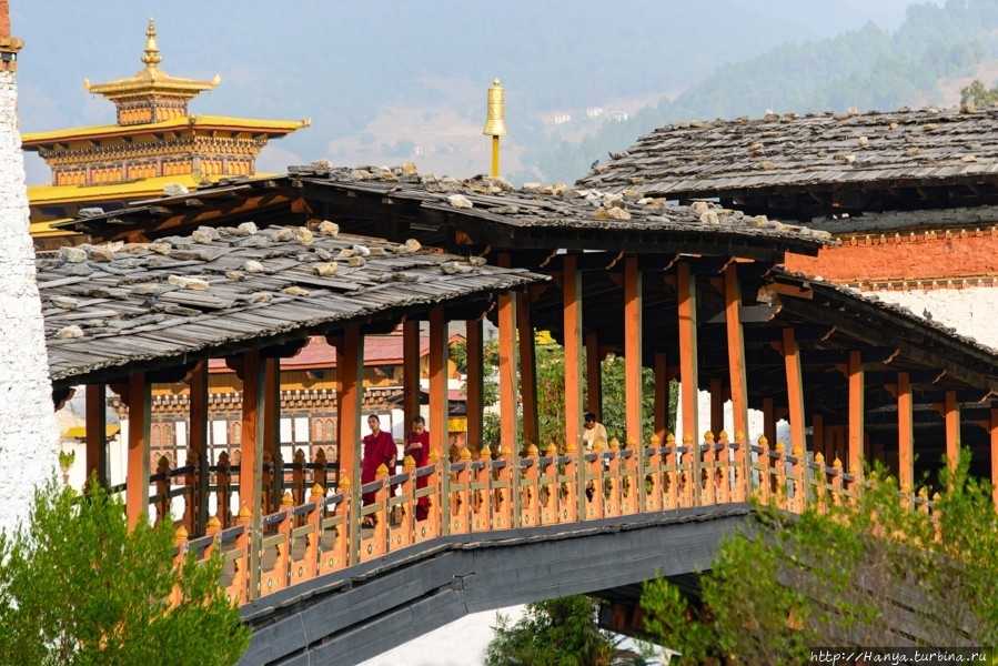 Пунакха дзонг - punakha dzong - wikipedia