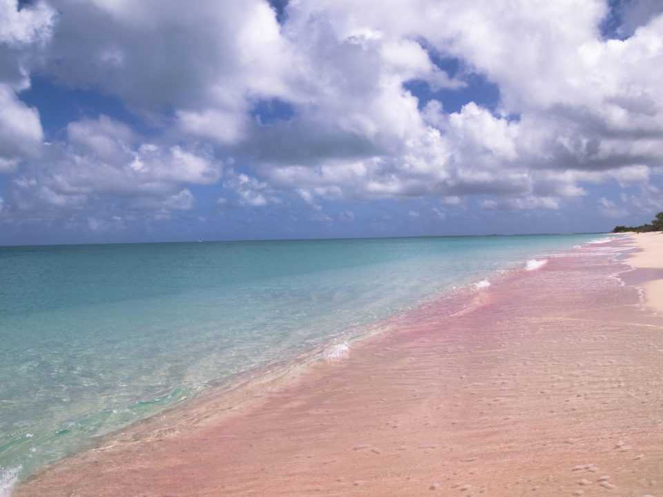 Розовый пляж багамы: отдых на острове харбор | | на всякий случай