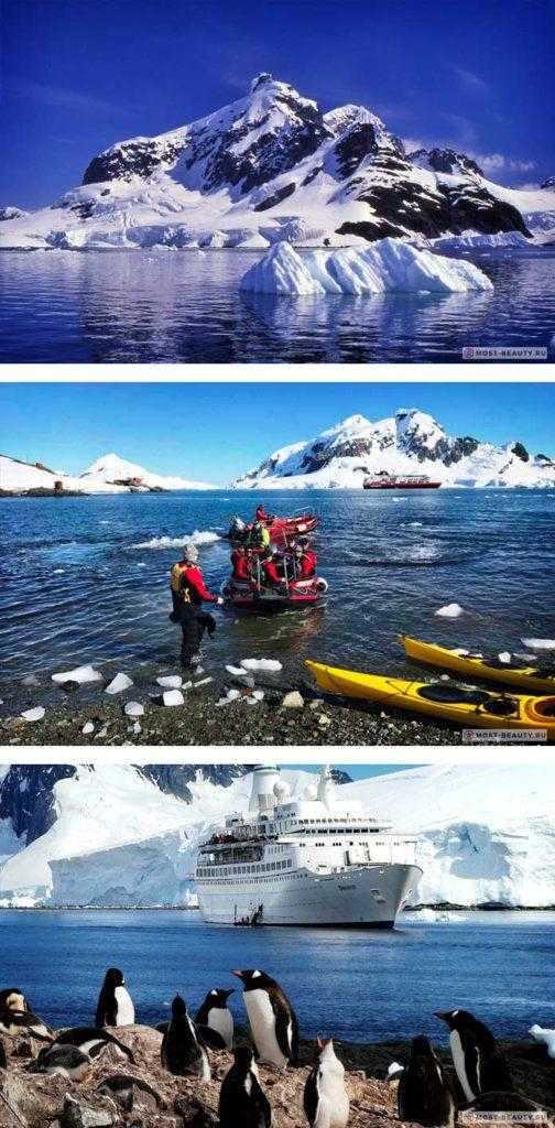 Антарктида | путешествие, отдых, информация о стране – арриво