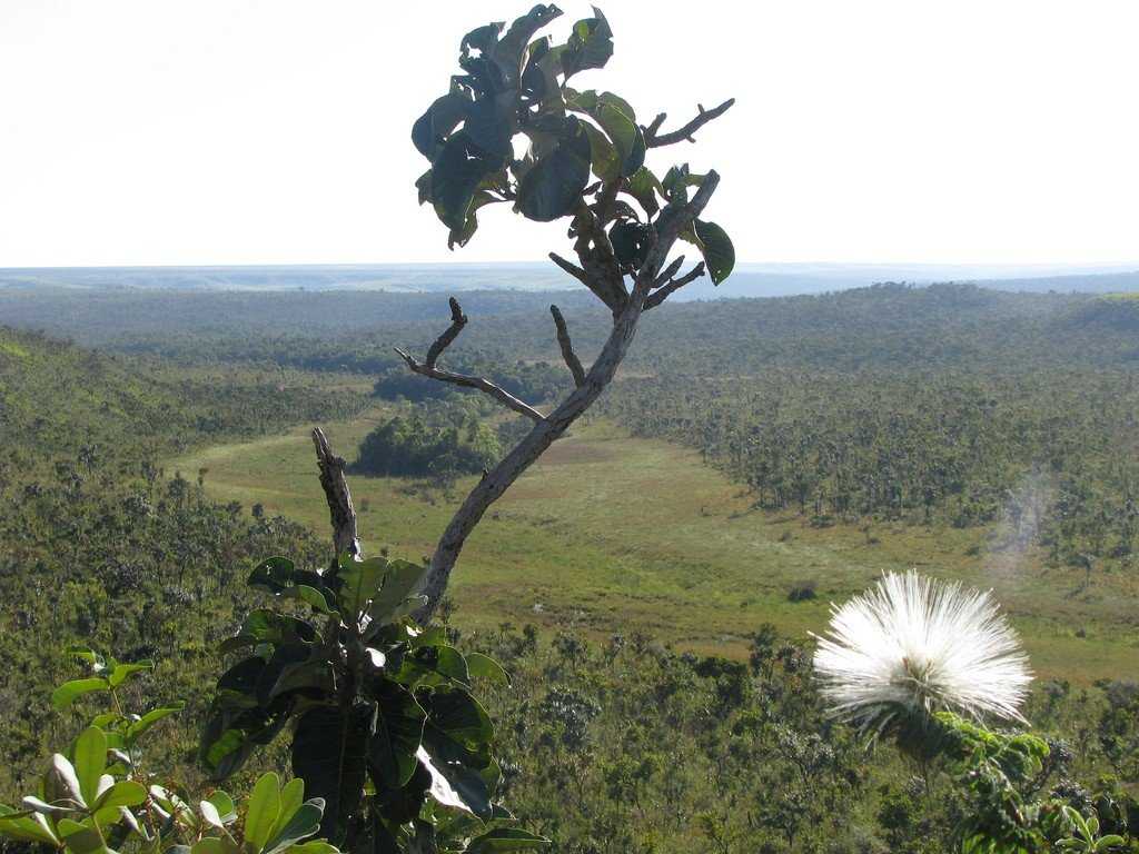 Национальный парк итатиая: «сокровищница природных красот» 🏞