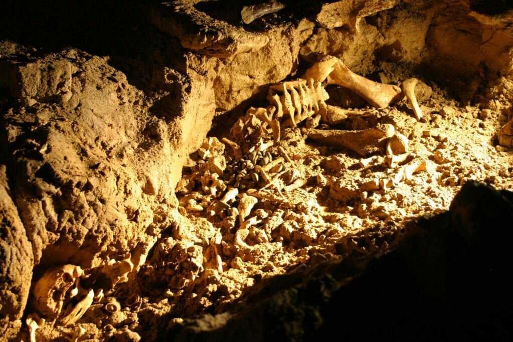 Список пещер белиза - википедия