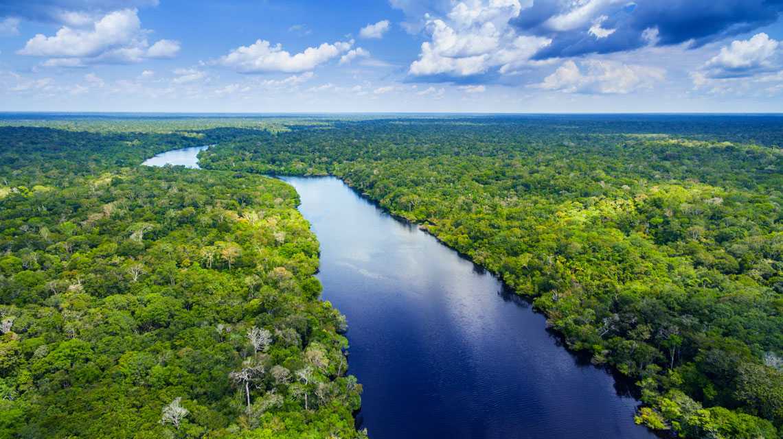 Амазонка (река) - вики