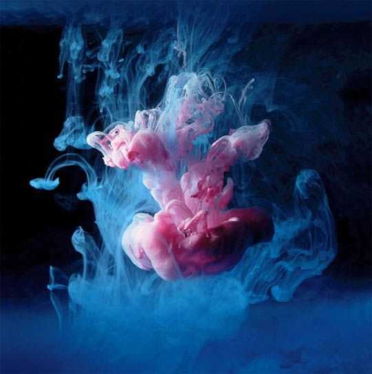 Полное погружение: 16 невероятно ярких фотографий подводного мира