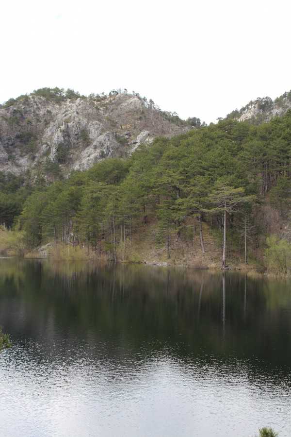 Скадарское озеро - lake skadar