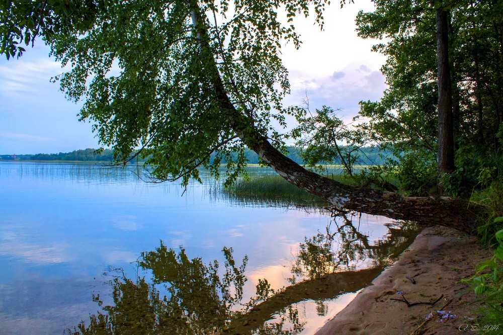 Как добраться в национальный парк браславские озера