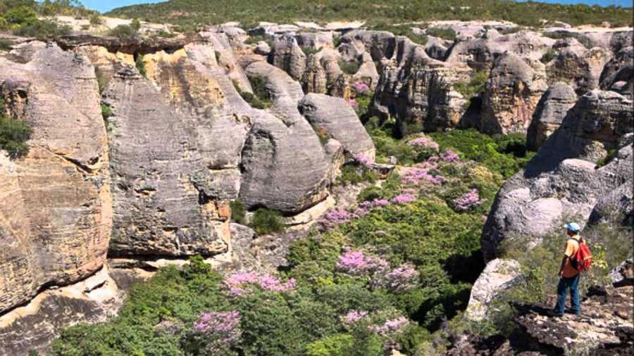 Национальный парк серра-да-капивара, южный регион, бразилия наскальное искусство, карта бразилии, другие, живопись png | pngegg