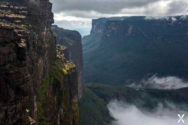 Гора рорайма в венесуэле