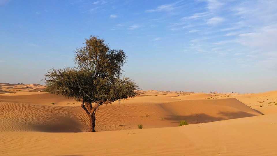 Подборка видео про пустыню Сахара (Алжир) от популярных программ и блогеров Сахара на сайте