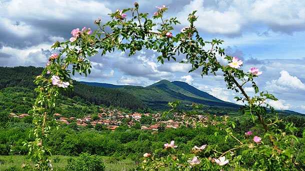 Долина роз в болгарии
