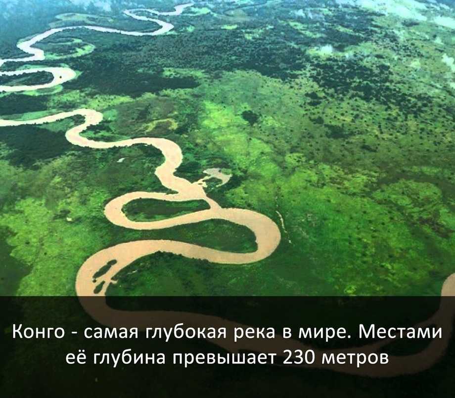 Самая длинная река в мире: где находится и как называется