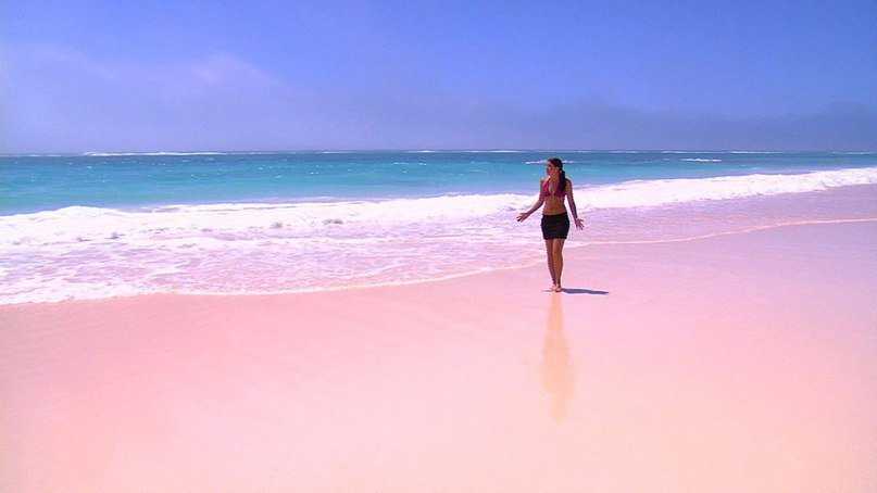 Где розовый песок на пляже | vasque-russia.ru
