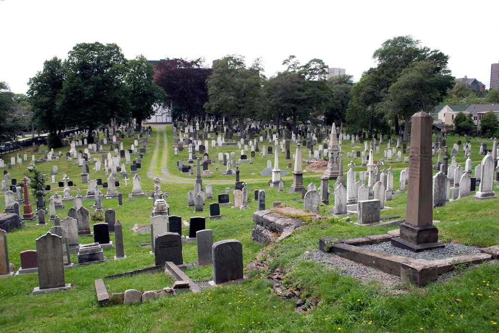 Как найти захоронение на кладбище по фамилии: 5 основных способа, у администрации, в загс, в интернете, список сайтов