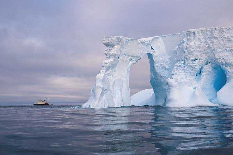 Факты об антарктиде: 20 невероятных вещей, которых вы не знали