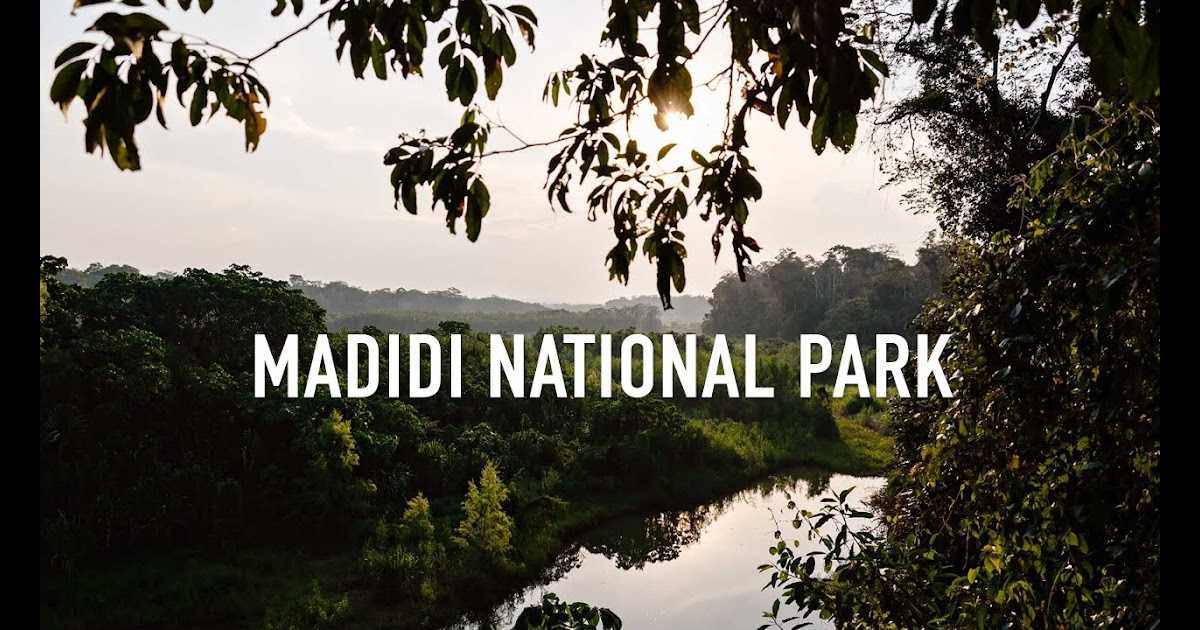 Мадиди (национальный парк)