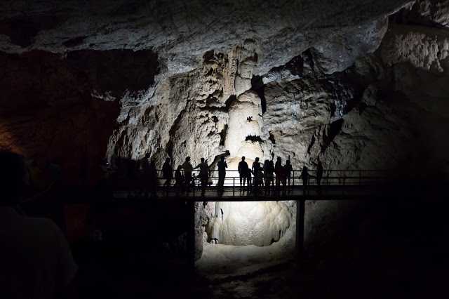 Новоафонская пещера в абхазии — фото, режим работы, официальный сайт