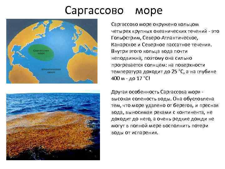 Загадка саргассова моря и почему там погибают корабли - hi-news.ru