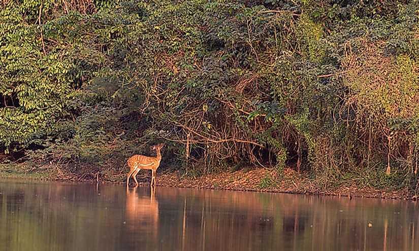 Национальный парк и заповедник денали - denali national park and preserve - abcdef.wiki