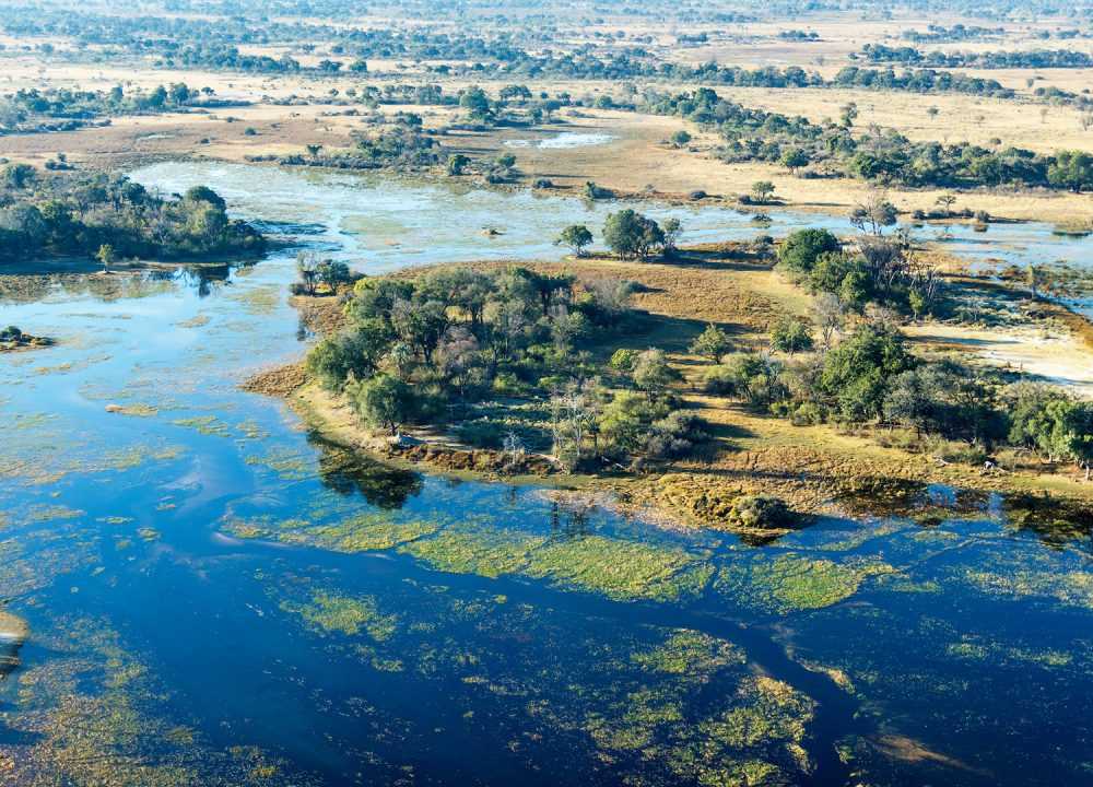 Река окаванго - okavango river - abcdef.wiki