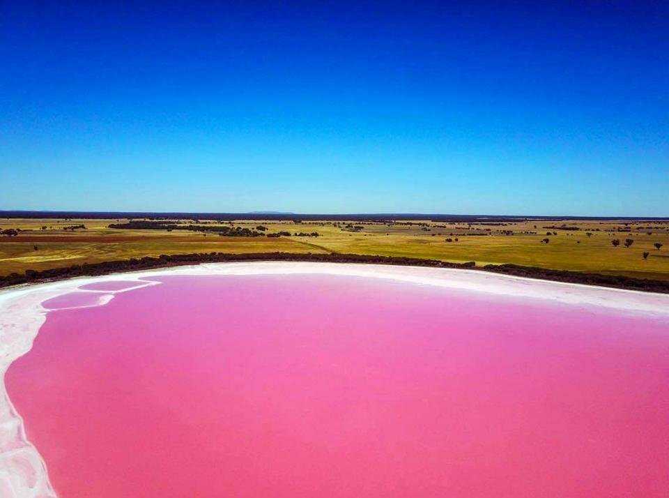 Уникальное явление – розовое озеро