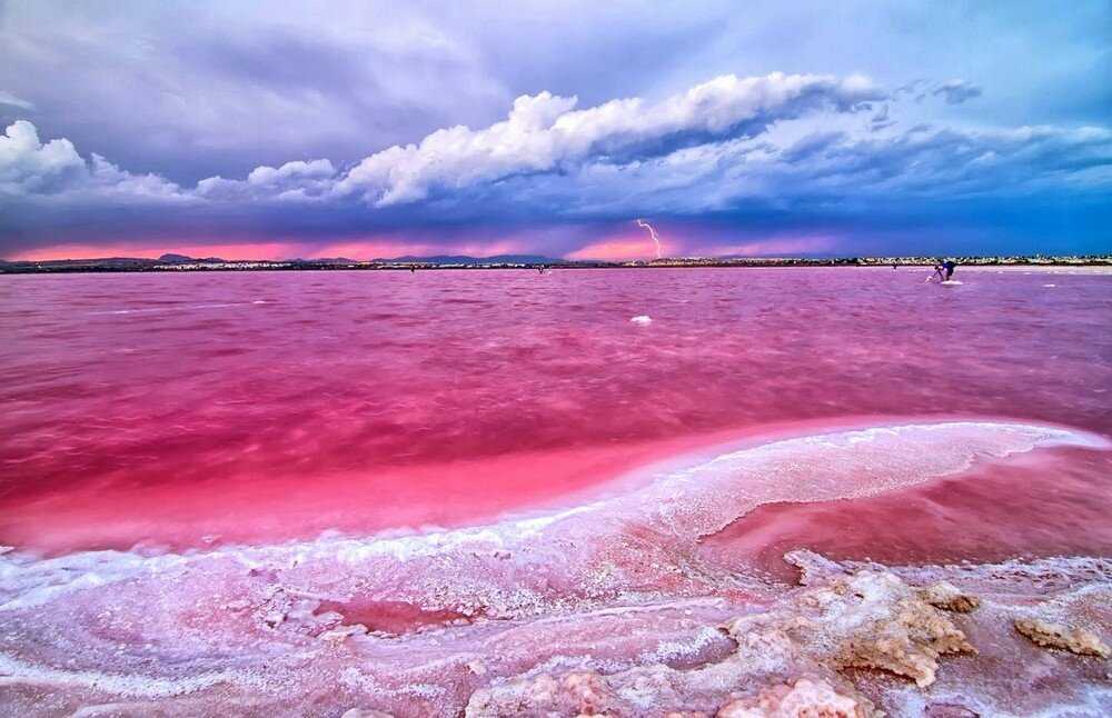 Озеро хиллер - розовое чудо австралии :: syl.ru