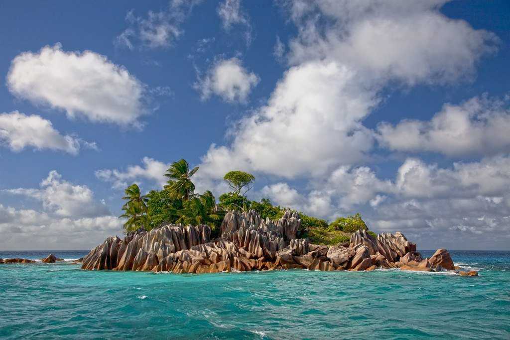 Снорклинг на острове кэт на багамах экзотик