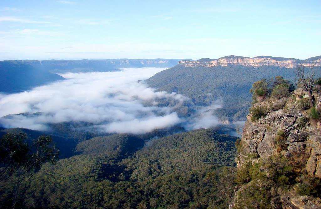 Горы австралии – какое горное плато является самым высоким