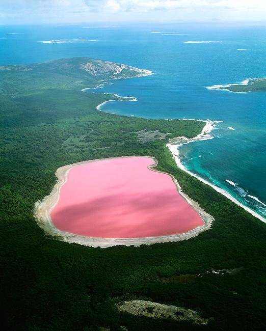 Озеро хиллер, мидл-айленд, австралия. розовое озеро, на карте, природа, фото, видео, как добраться — туристер.ру