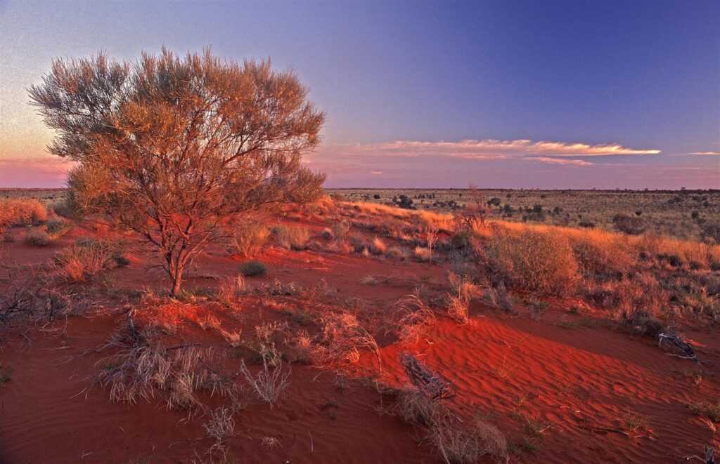 Пиннаклс пустыня мохаве пустыня тар пустыни австралии национальный парк намбунг, австралия достопримечательности пиннаклс, пейзаж, мир png бесплатная загрузка