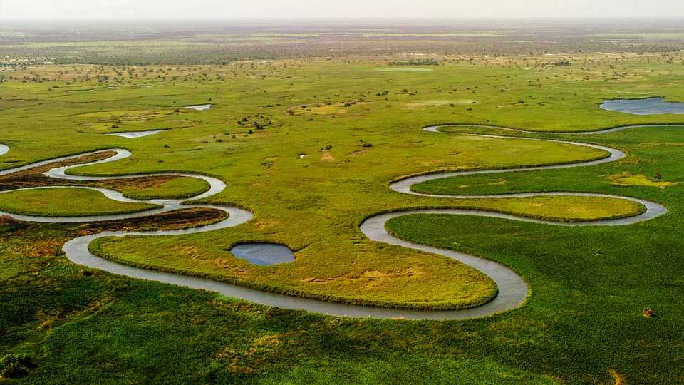 Окаванго дельта реки (okavango delta)