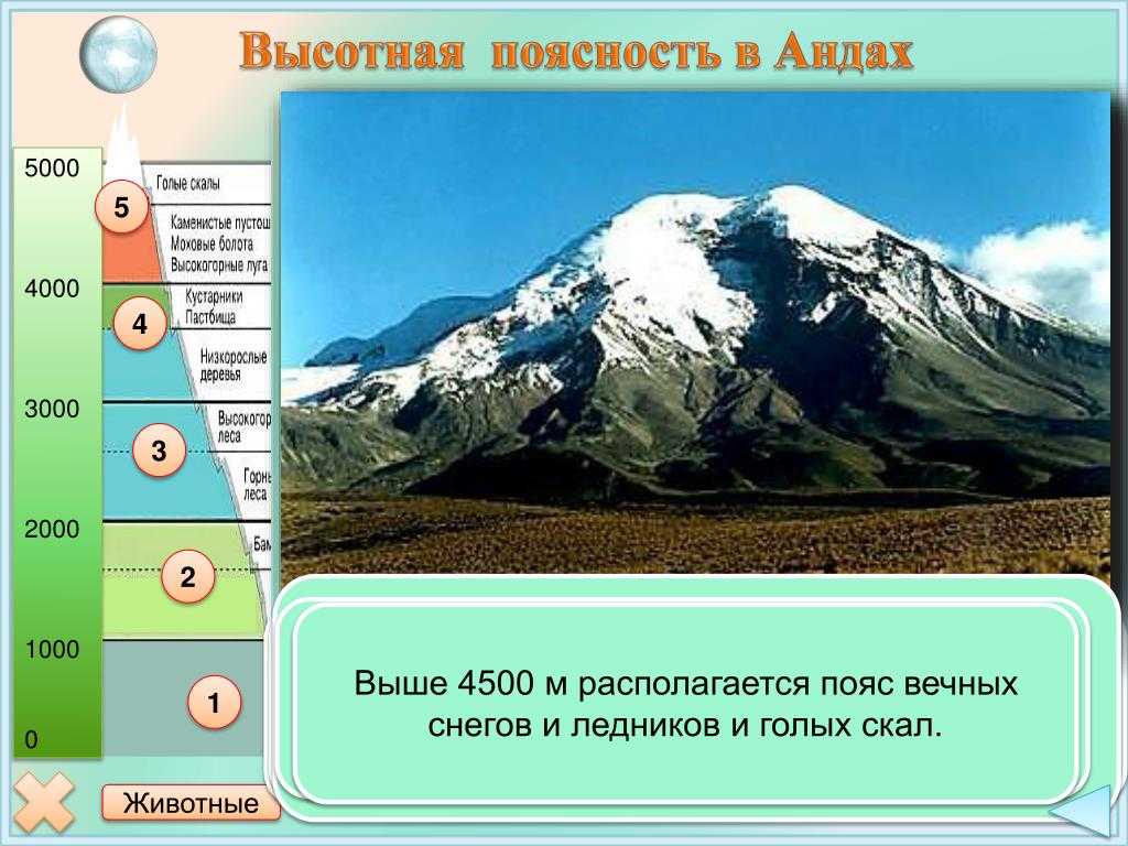 Путеводитель по андам - длинная и самая высокая горная система земли