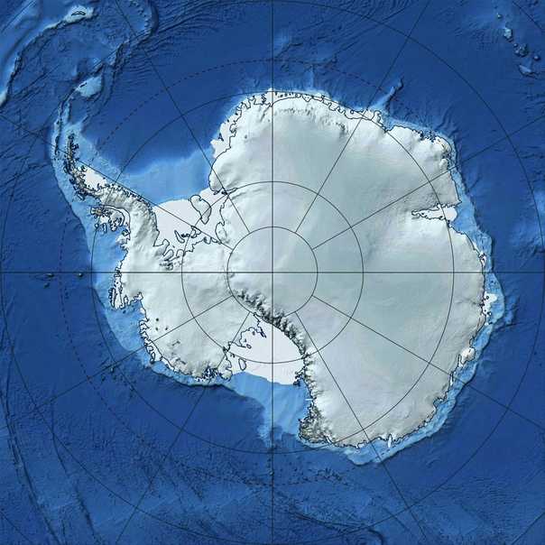 Чем отличается арктика от антарктики и антарктиды и что у них общего? :: инфониак