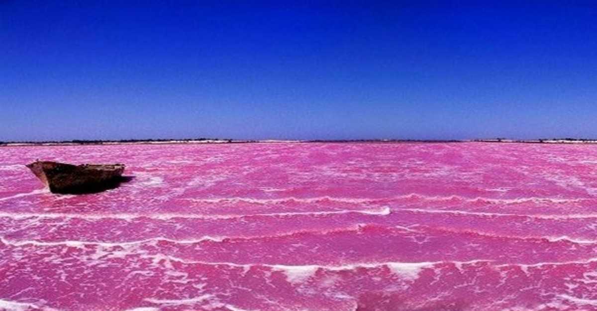 Почему озеро хиллиер окрашено в розовый цвет? - hi-news.ru