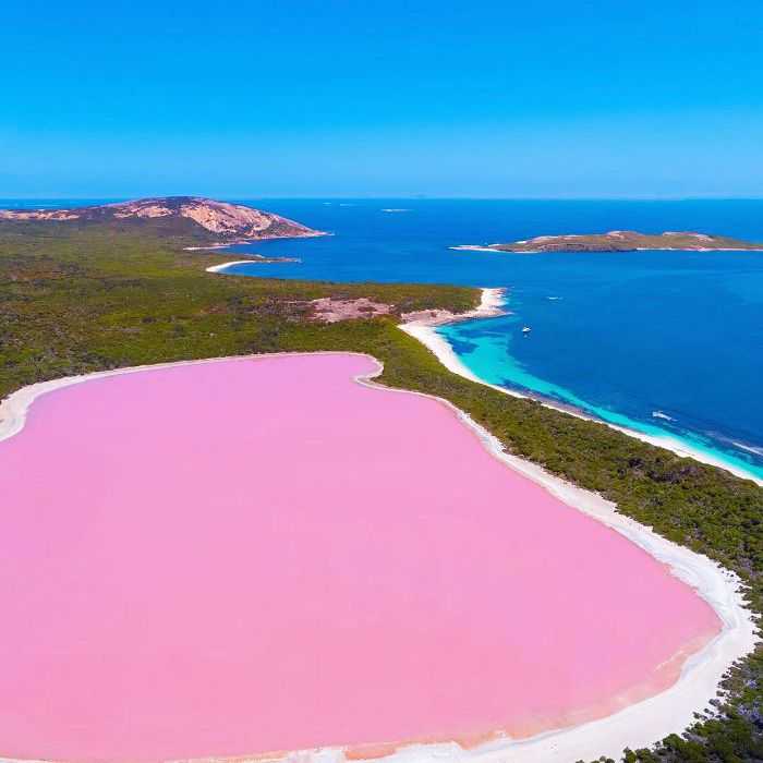 Розовое озеро хиллер, австралия