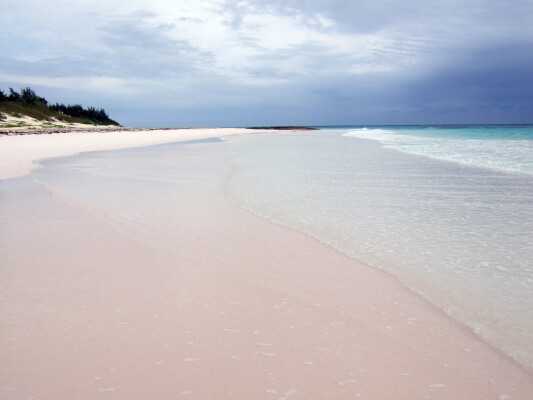 Розовые пляжи на багамских островах