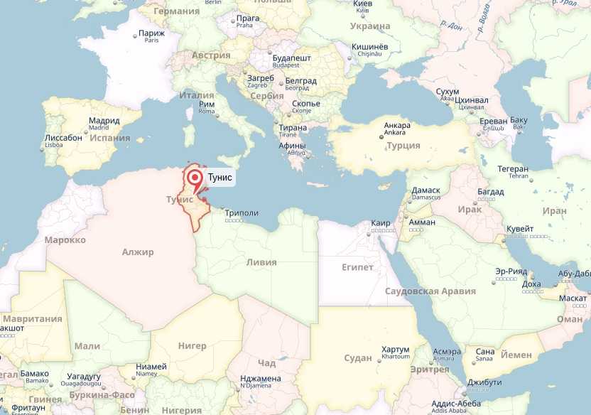 Подробная карта Тенеса на русском языке с отмеченными достопримечательностями города Тенес со спутника