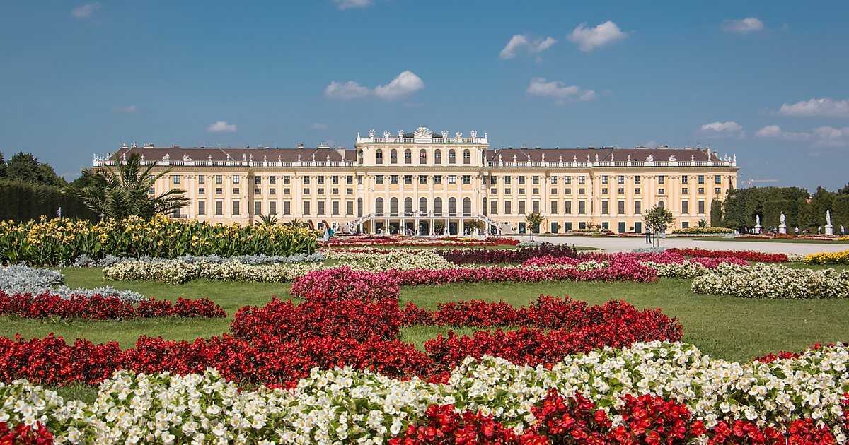 Дворец шенбрунн: полезная информация о замке в вене