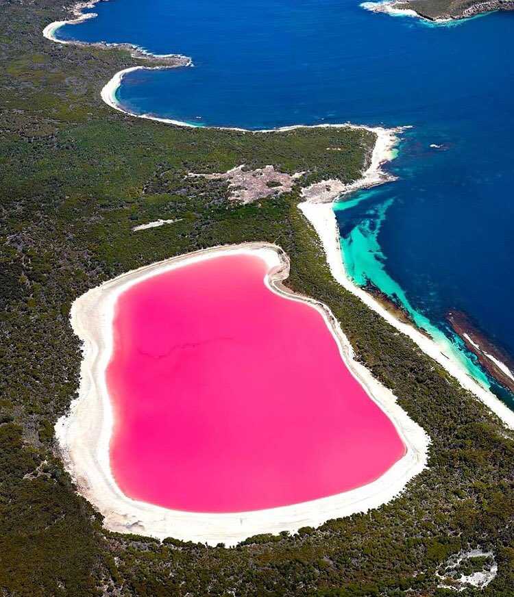 Уникальное австралийское озеро хиллер — загадка природы