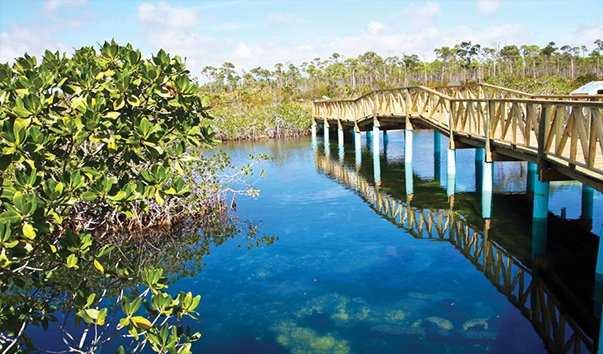 Что поделать на багамских островах - национальные парки, природа и заповедники для активного отдыха
