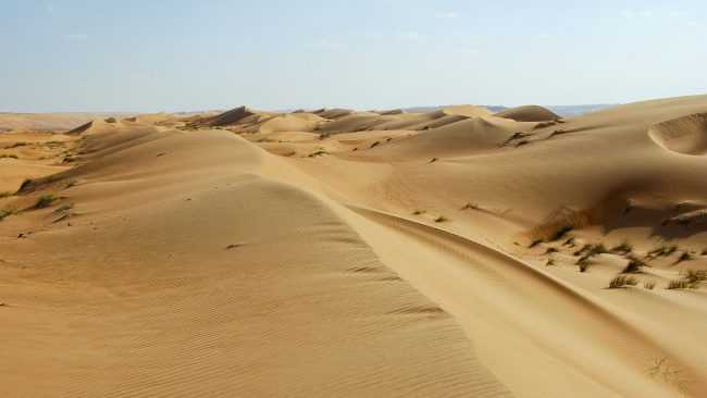 ​50 интересных фактов о пустыне калахари — общенет
