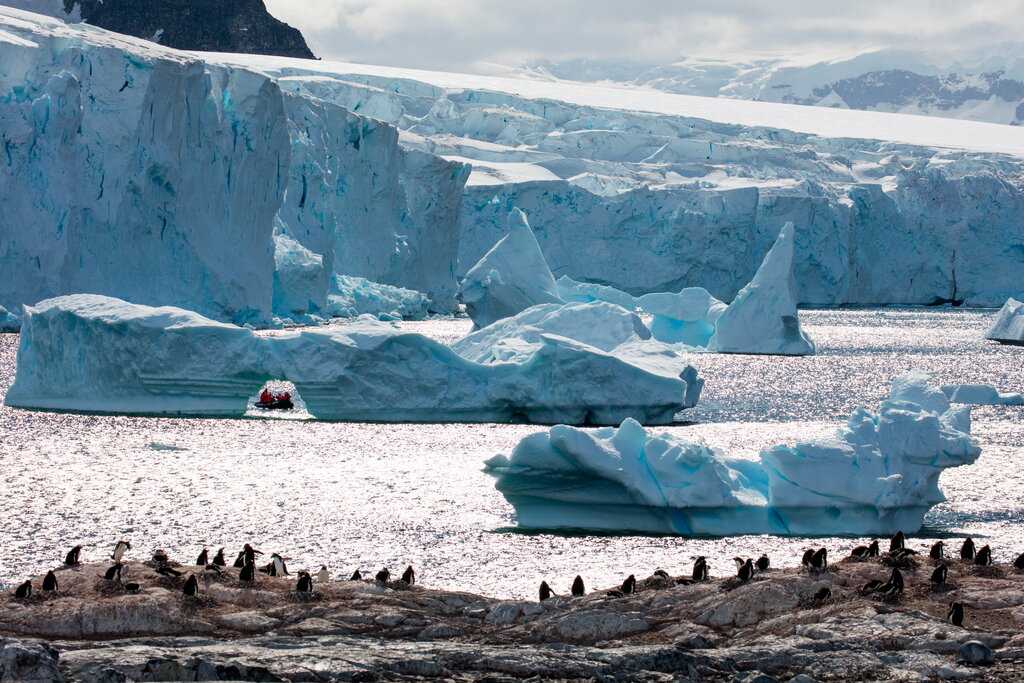 Факты об антарктиде: 20 невероятных вещей, которых вы не знали - сайт о путешествиях