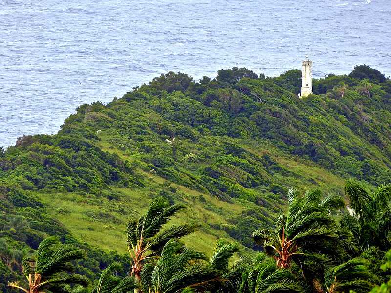 Кеймада гранди - самый опасный змеиный остров в мире