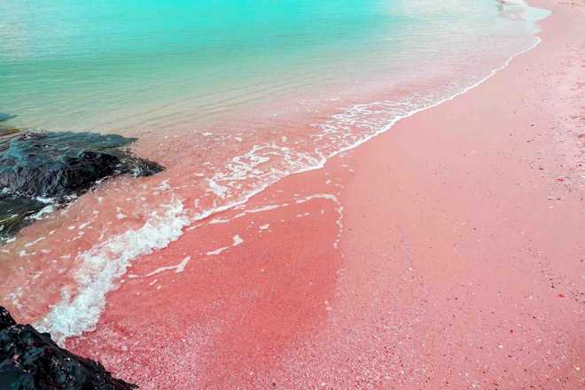Розовые пляжи на багамах
