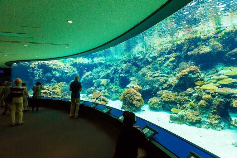 Сиднейский аквариум sea life