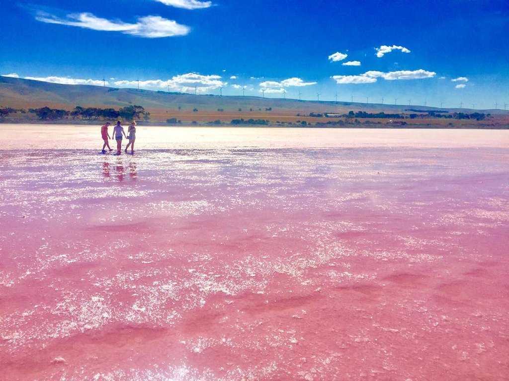 Розовое озеро хиллер