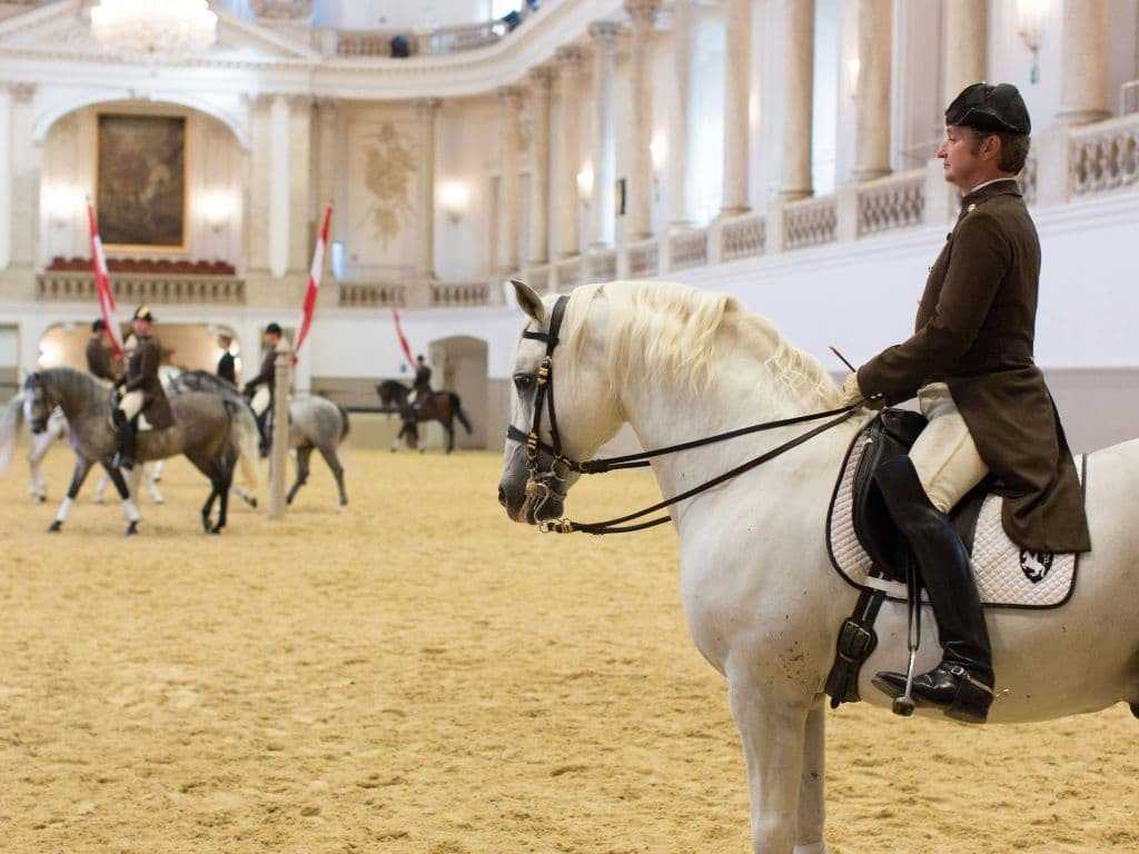 Фото Испанской школы верховой езды в Вене, Австрия Большая галерея качественных и красивых фотографий Испанской школы верховой езды, которые Вы можете смотреть на нашем сайте
