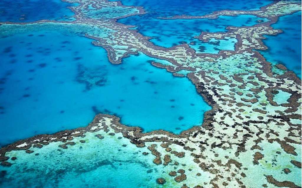 Большой коралловый риф на карте рядом с австралией