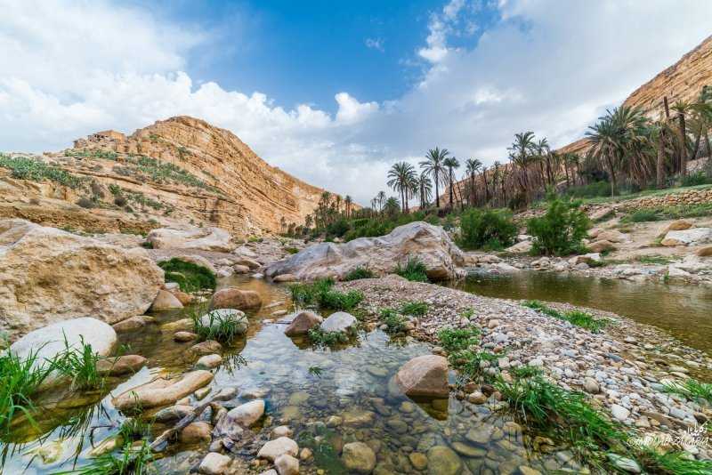 Пустынные ландшафты алжира: оазисы, дюны и ксуры сахары / фотографии / алжир / travel.ru