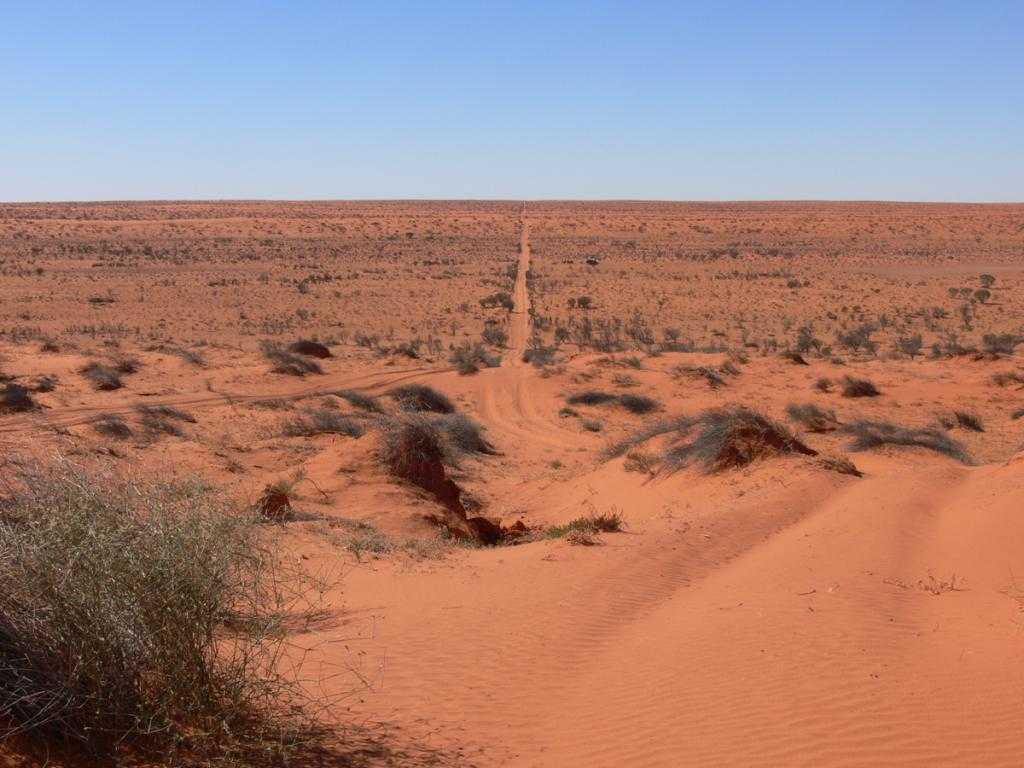 Пустыня пиннакли – фантастический пейзаж | чудеса природы